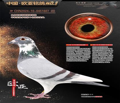 ��Ǳ�129X951˫�ؽ��׹�������