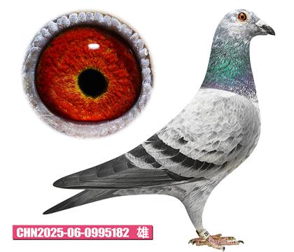 ���ǲ�����-�û���182