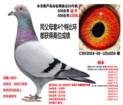 ��������x�������ܽ��ף��ٷְ٣�����500����ھ�