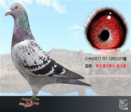 �رȶ�γɼ���327��