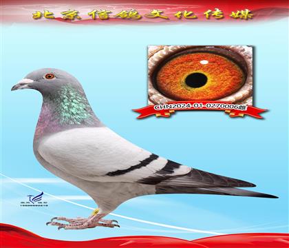 ��ƿ�X������Xղɭ006