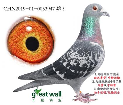 ���ǣ����������.0053947