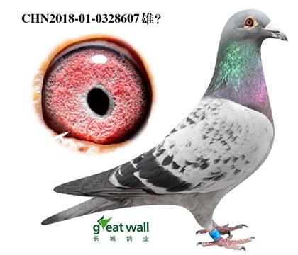 ���ǣ������Ӵ�.0328607