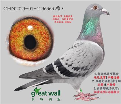 ���ǣ�����ҫ�����.1236363