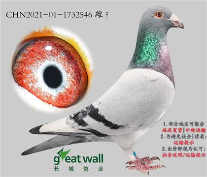 ���ǣ�����x����Ѫϵ.1732546