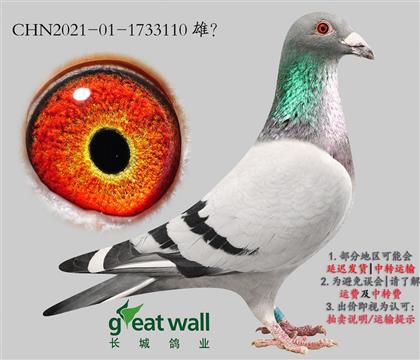 ���ǣ��ú�Ż�Ѫ.1733110