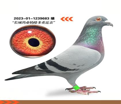 ���Ǹ�ҵ���Ҷ��ؽ���