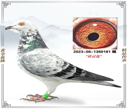 �������������Է�¹������181