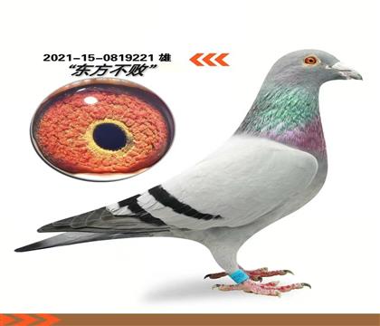 �������ܱ��������ൺ��ȹ���13000����Ԥ��74��