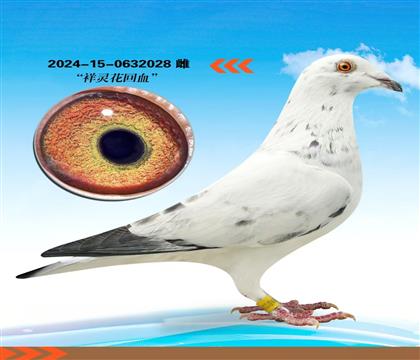 �������������Է�¹���������Ż�Ѫ028