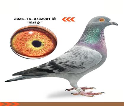 ������ʿ�����������ƿ˻�Ѫ001