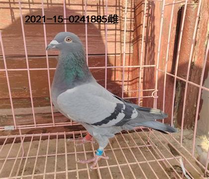 ɽ����������Ԥ��80������վ��400��