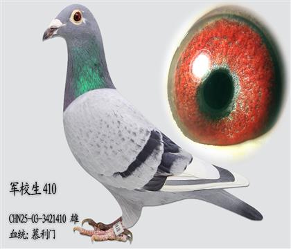 Ľ����410 ��12�����䣩�������о������