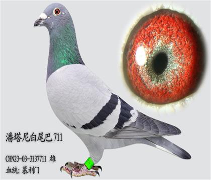 Ľ���� 49��ƽ��