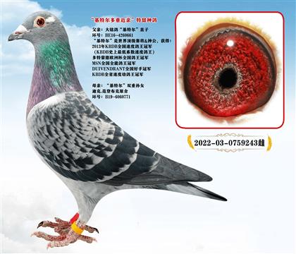 �߼��ָ롢���ض�ֱ��X���ض����ؽ���ֱ��