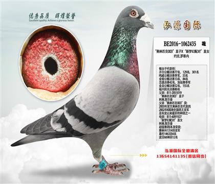 Լ��.�޵��ڡ�����ƥ��003��ֱ��X�����λ���ԡ�ֱŮ