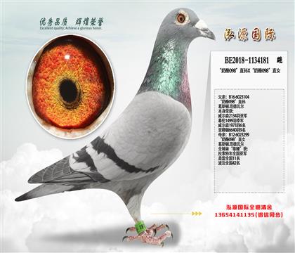 ������.��ɪ ������098��ֱ��X������098��ֱŮ