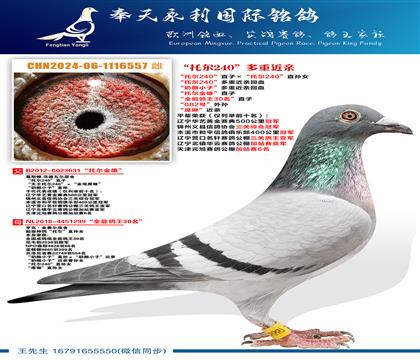 ֧Ԯ����0Ԫ����~�����ж����ۡ�ֱ�� ��ȫ�ܸ���30����ֱ��