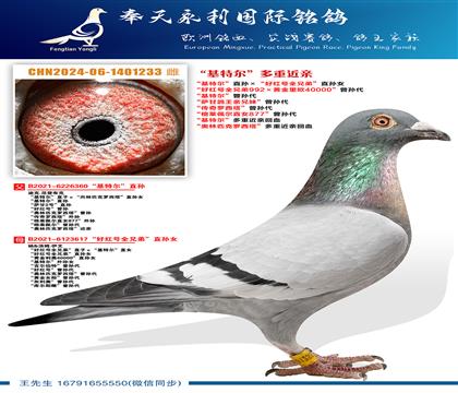 ֧Ԯ����0Ԫ����~�������ض���ֱ������ú��ȫ�ֵܡ�ֱ��Ů