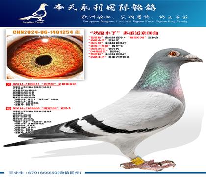 ֧Ԯ����0Ԫ����~�����Ű�����ȫ����ֱ��������098��ֱ��