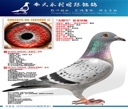 �����޺�ĸ���׽��á�ֱŮ ��ȫ�����ޡ�ֱ��Ů ������ƥ��쫷�