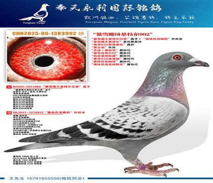 ����ѩ�������ض������ֵ�ֱ���ѩ030�׽�ֱŮ��ֱ�� ����