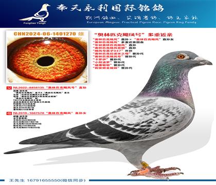 ������W��ƥ��쫷硱ֱ��W��ƥ��쫷���ȡ�ֱ�� ��쫷��ֱ