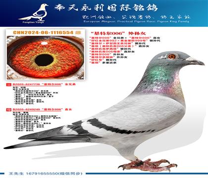 ֧Ԯ����0Ԫ����~�������ض�006������Ů����̹�����ؽ���