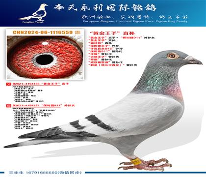 ���ƽ����ӡ�ֱ�ӡ�����ʱ��911������Ů ���ƽ����ӡ�ֱ��