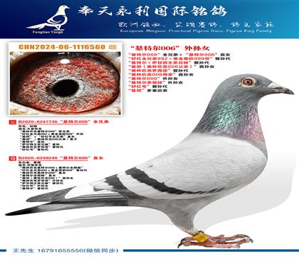 �����ض�006��ȫ�ֵܡ������ض�006��ֱŮ ���ú�ȫ�ֵ�9