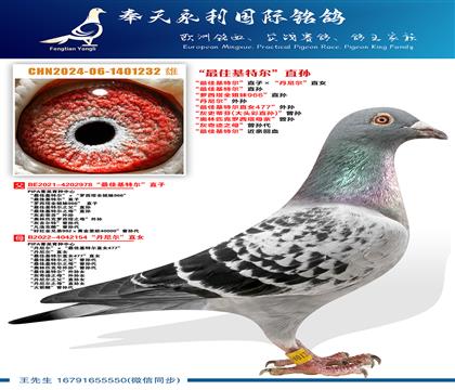 ����ѻ��ض���ֱ�ӡ����������ֱŮ ����ѻ��ض���ֱ�� ����