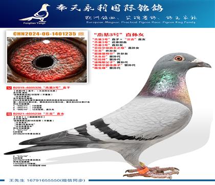 ���ܻ�3�š����׻�Ѫ ���ܻ�3�š�ֱ��Ů ���������׸���֮ĸ