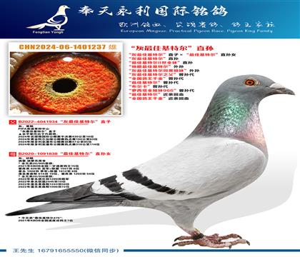 ������ѻ��ض���ֱ�� ����ѻ��ض�II��ȫ�á�ֱ�� ��������