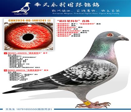 ����ѻ��ض���ֱ�ӡ�������ѻ��ض���ֱŮ ����ѻ��ض���ֱ��