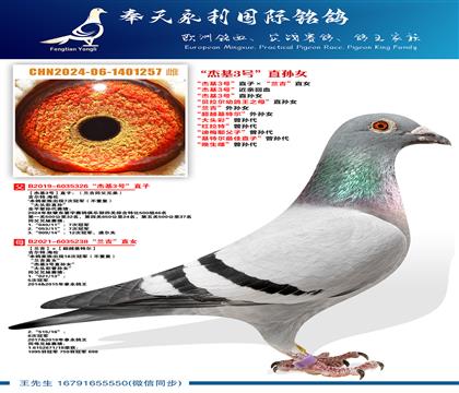 ���ܻ�3�š����׻�Ѫ ���ܻ�3�š�ֱ��Ů ���������׸���֮ĸ