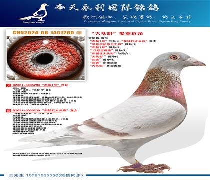 ������.���� ���ܻ�1�š��������������ͷ�ʡ�ֱŮ ������