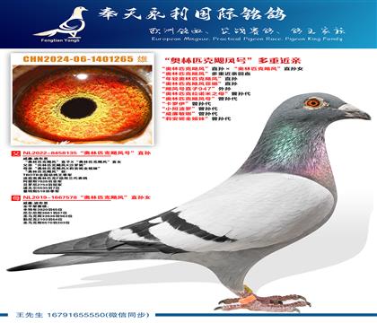 ������ƥ��쫷�š����ؽ��ס�����W��ƥ��쫷硱ֱ�� ���W��ƥ