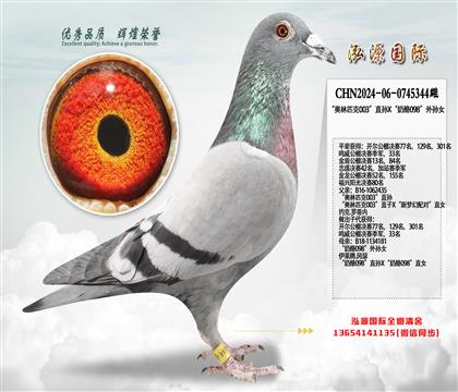 ������ƥ��003��ֱ��X������098������Ů