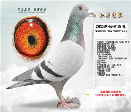 ������ƥ��003��ֱ��X������098������Ů