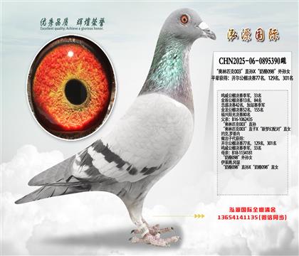 ������ƥ��003��ֱ��X������098������Ů