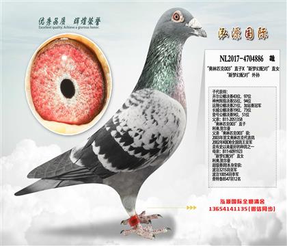 ɭ�ǡ���³˹ ������ƥ��003��ֱ��X�����λ���ԡ�ֱŮ