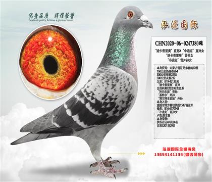 ɭ�ǡ���³˹ԭ���  ���Ͽ�����¡�����Ů