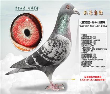 ������ƥ��003��ֱ��X��С�Ͽˡ�������Ů