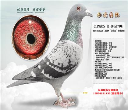 ������ƥ��003��ֱ��X��С�Ͽˡ�������Ů