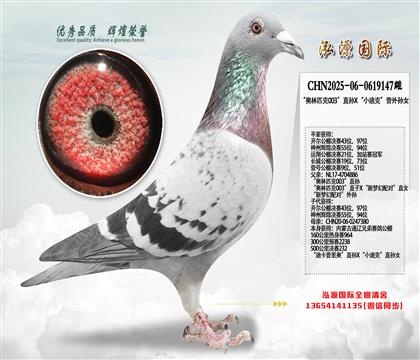 ������ƥ��003��ֱ��X��С�Ͽˡ�������Ů