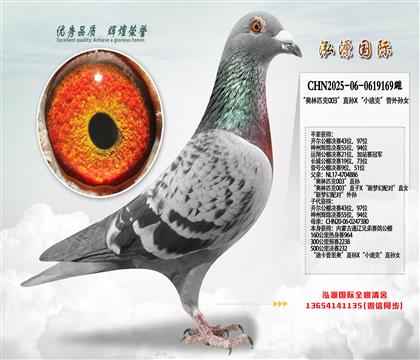 ������ƥ��003��ֱ��X��С�Ͽˡ�������Ů