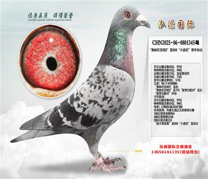 ������ƥ��003��ֱ��X��С�Ͽˡ�������Ů