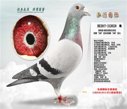 ��ά��-�¹��� ���ҡ�240��ֱ��X���ҡ�240��ֱŮ