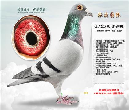 ������240������X��³�ϡ�ֱ��Ů