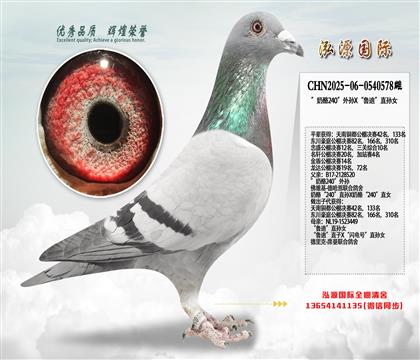 ������240������X��³�ϡ�ֱ��Ů